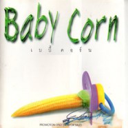 Baby Corn - เบบี้คอร์น-web
